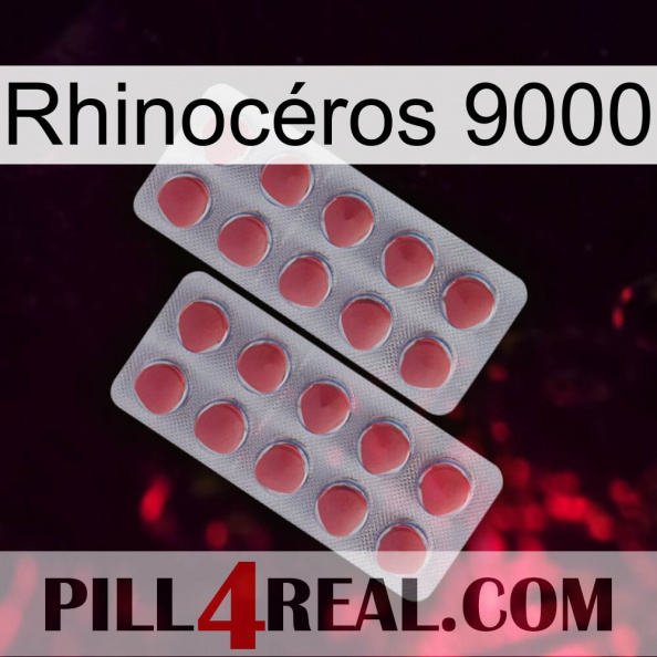 Rhinocéros 9000 19